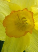 maerzenbecher